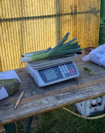 Vergrößerung anzeigen ...