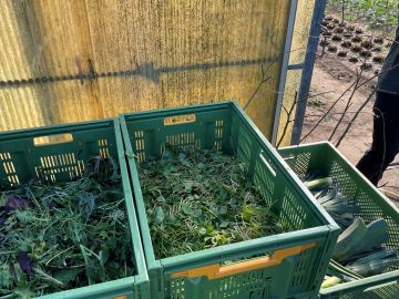 Vergrößerung anzeigen ...