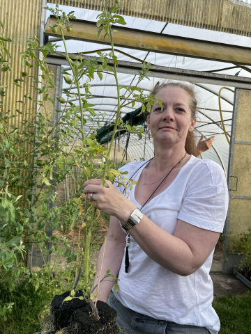 Vergrößerung anzeigen ...