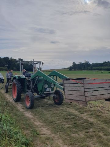 Vergrößerung anzeigen ...