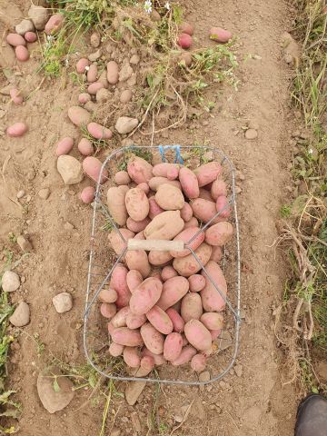 Vergrößerung anzeigen ...